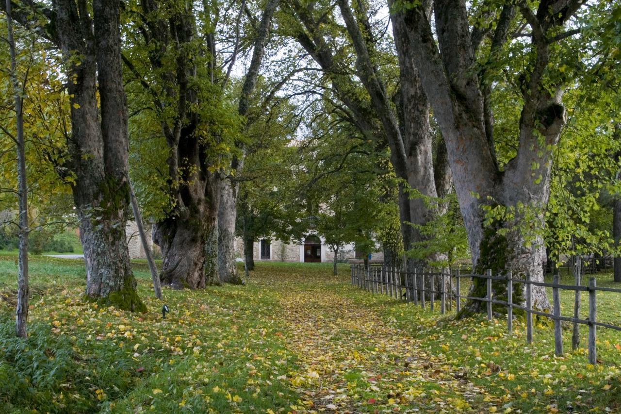 Отель Torre Camigliati Dimora Storica Камильятелло-Силано Экстерьер фото