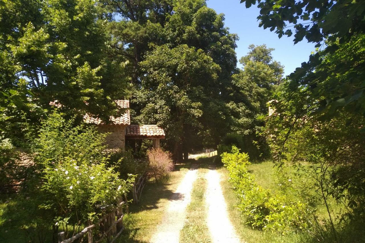 Отель Torre Camigliati Dimora Storica Камильятелло-Силано Экстерьер фото