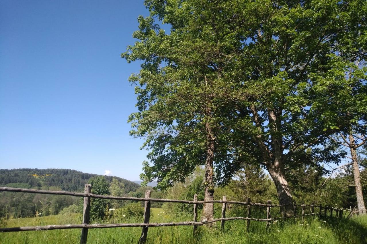 Отель Torre Camigliati Dimora Storica Камильятелло-Силано Экстерьер фото
